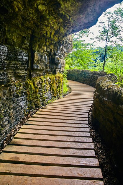 Imagem de um calçadão de madeira tranquilo e parede de pedra contra penhascos de pedra com musgo e algas