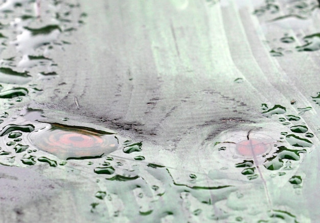 Foto imagem de um conceito de chuva ou gotas de água