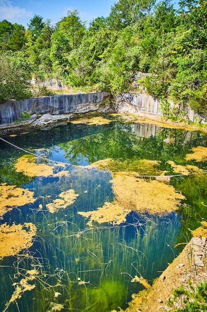 Imagem de um lago misterioso com rochas cobertas de algas sob a superfície