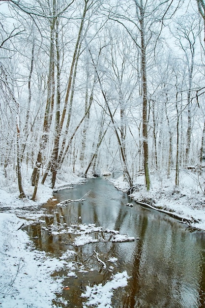 Imagem de um rio em uma floresta coberta por uma bela neve branca