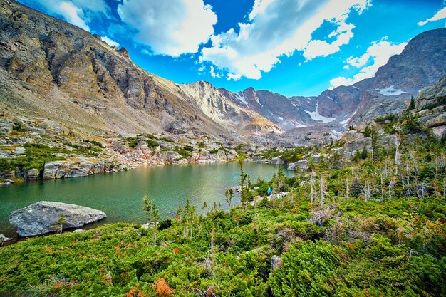 Imagem de uma floresta de pinheiros ao redor do lago nas montanhas