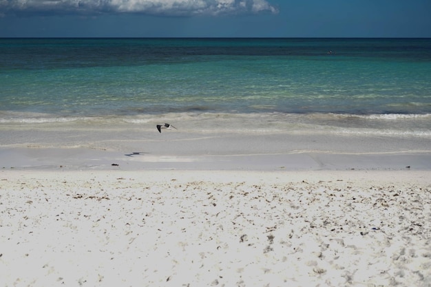 Imagem de uma praia paradisíaca no Caribe mexicano