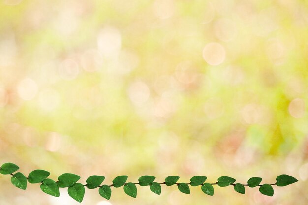 Foto imagem desfocada de plantas contra o sol brilhante