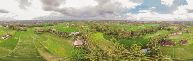 Imagem do belo campo de arroz em terraços na estação da água e irrigação do droneVista superior do arrozal