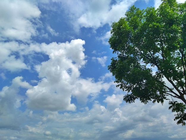 Imagem do céu e da luz solar