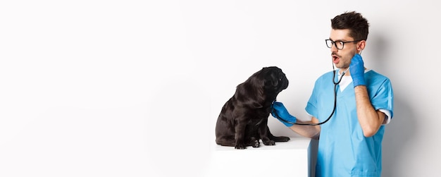 Foto imagem do médico bonito na clínica veterinária examinando a saúde do cão, verificando os pulmões pug com estetoscópio stan