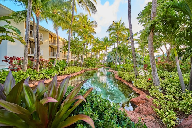 Foto imagem do resort nos trópicos com rio, hospedagem e palmeiras