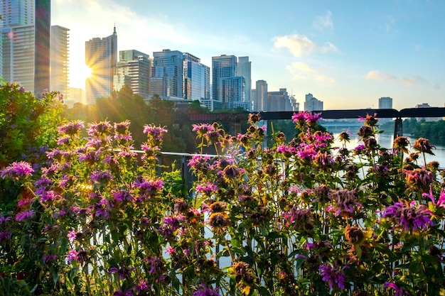 Foto imagem em 4k do horizonte de austin, texas, com flores em flor e ponte ferroviária no rio willamette