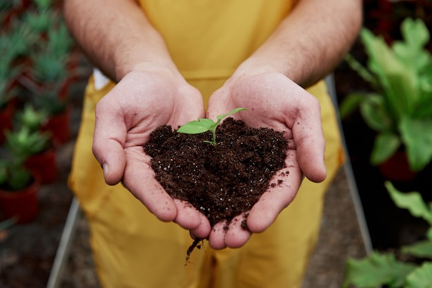 Imagem focada. Mãos de homens segurando o solo com pouca planta no meio.