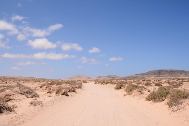 Imagem fotográfica de uma bela paisagem seca do deserto