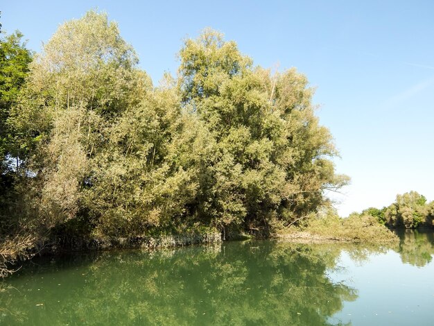 Imagem fotográfica do belo e selvagem rio Brenta no norte da Itália