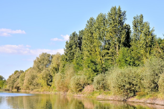Imagem fotográfica do belo e selvagem rio Brenta no norte da Itália