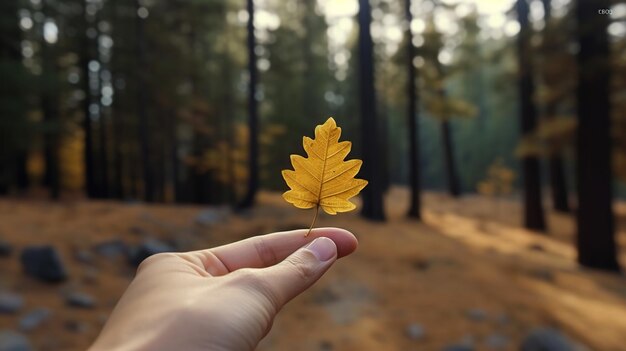 Imagem generativa de IA de mãos segurando folhas de outono na floresta