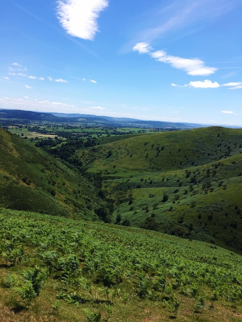 Imagem idílica de uma paisagem verde contra o céu azul