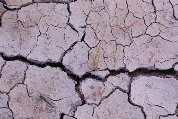 Imagem infravermelha da fissura do solo da superfície da Terra devido à seca