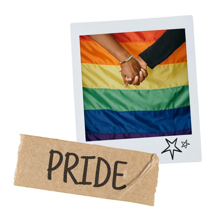 Foto imagem instantânea de orgulho png de casal lgbtq de mãos dadas em fundo transparente