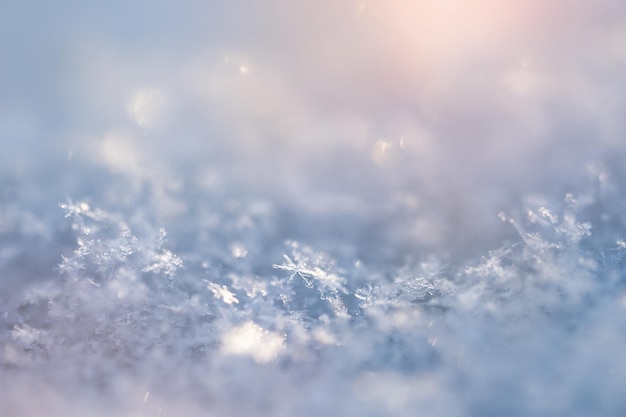 Imagem macro de flocos de neve. Fundo de inverno. Pequena profundidade de nitidez