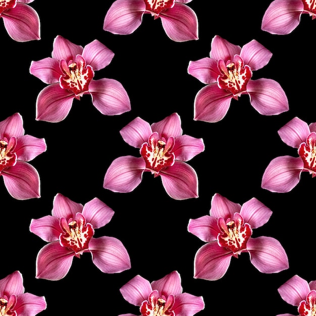 Imagem perfeita com orquídea cymbidium isolada em fundo preto