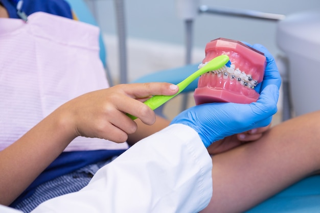 Imagem recortada de dentista ensinando menino escovando dentes em dentaduras