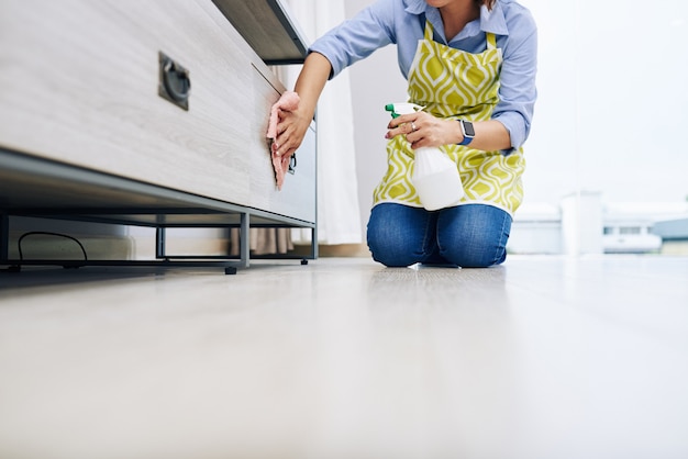 Imagem recortada de dona de casa desinfetando gavetas na sala de estar com detergente especial