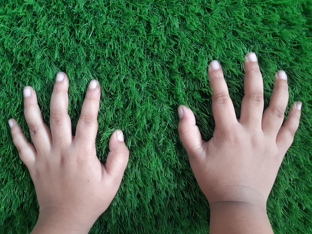 Imagem recortada de mão de pessoa em campo de grama