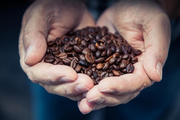 Imagem recortada de mão segurando grãos de café torrados