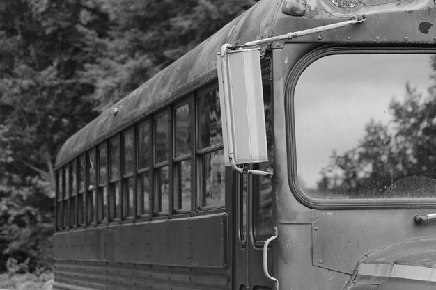 Foto imagem recortada de ônibus contra árvores