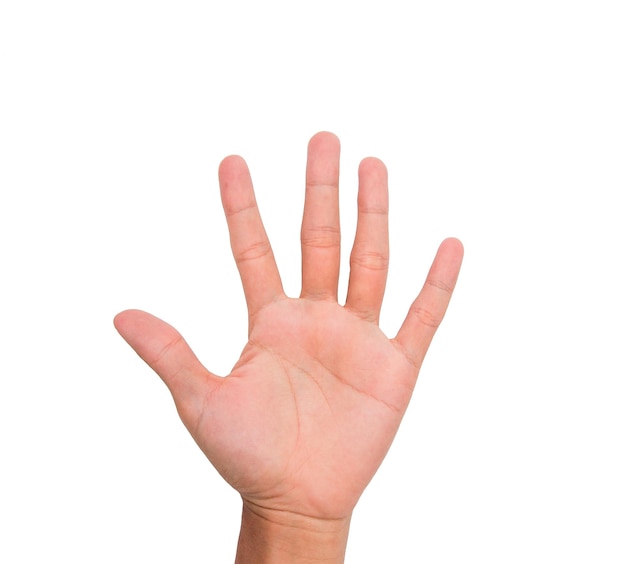 Imagem recortada de pessoa mostrando cinco dedos contra fundo branco.
