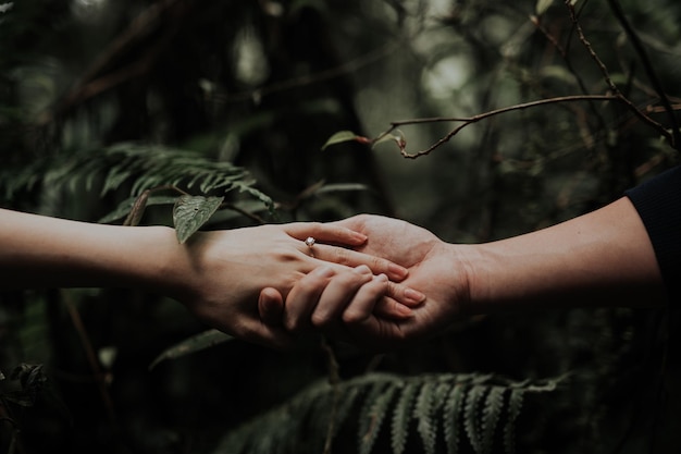 Foto imagem recortada de um casal de mãos dadas contra plantas