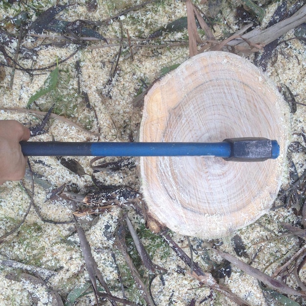 Foto imagem recortada de um homem cortando um tronco de árvore com um machado