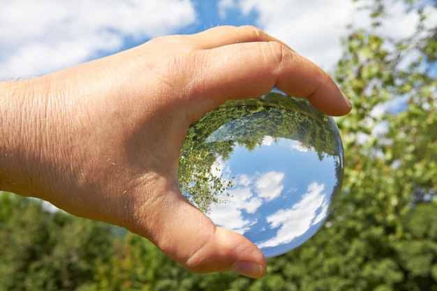 Imagem recortada de um homem segurando um cristal com o reflexo de uma árvore de cabeça para baixo