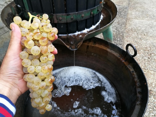 Foto imagem recortada de um homem segurando uvas por uma prensa de vinho