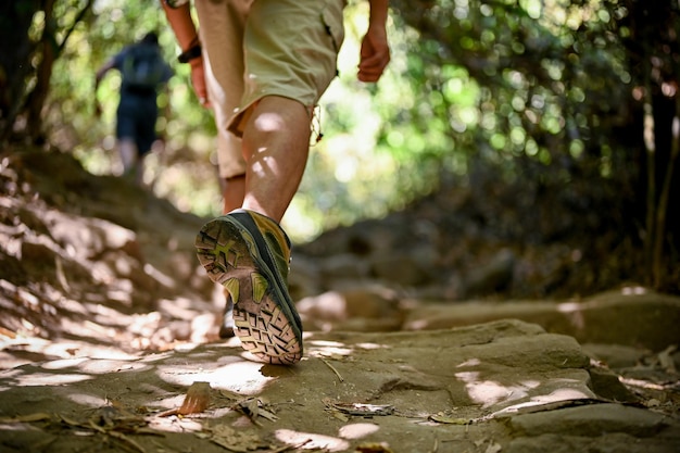 Imagem recortada de um trekker masculino asiático ativo em botas de trekking caminhando pela trilha da floresta