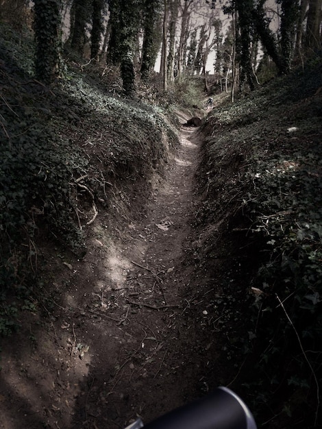 Foto imagem recortada de uma bicicleta em uma estrada de terra na floresta