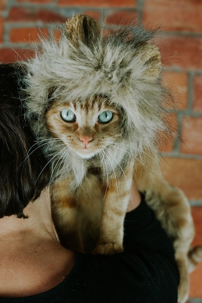 Foto imagem recortada de uma mulher carregando um gato contra uma parede de tijolos