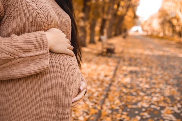 Imagem recortada de uma mulher grávida parada no parque da cidade de outono, segurando sua barriga redonda