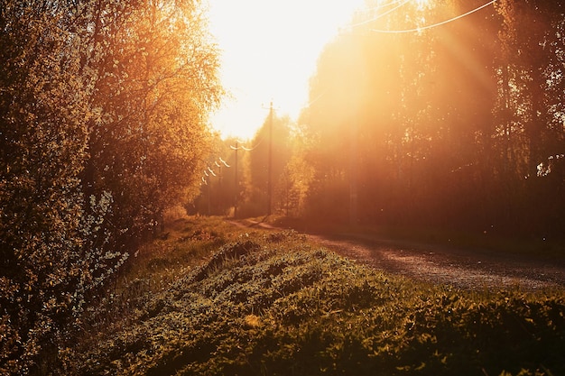 Imagem retrô da estrada ao pôr do sol