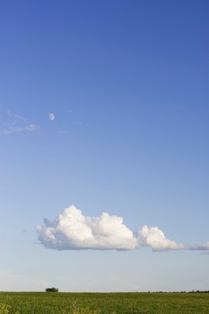 imagem vertical com céu azul e nuvens brancas no campo de verão