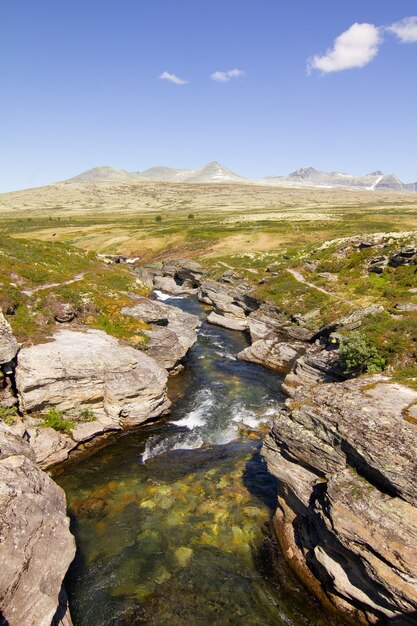 Imagem vertical de um riacho de montanha fluindo pelas pedras