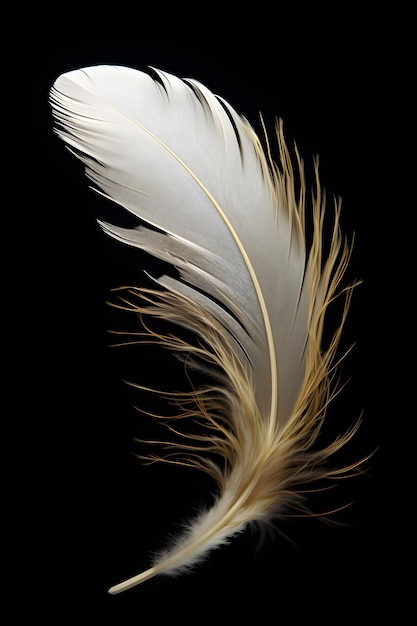 una imagen 3D de una pluma