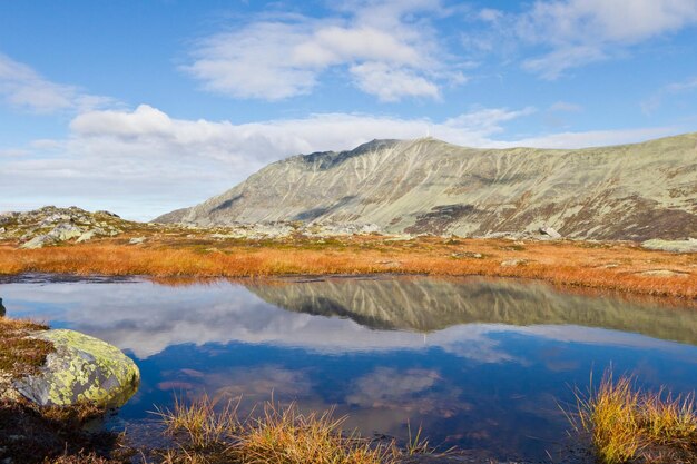Imagen 4K de 1250 metros sobre el nivel del mar en Noruega en un día de otoño de octubre con vibrantes colores otoñales