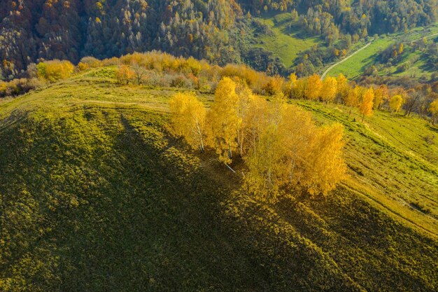 Imagen aérea de aviones no tripulados del campo de otoño en Transilvania, Rumania