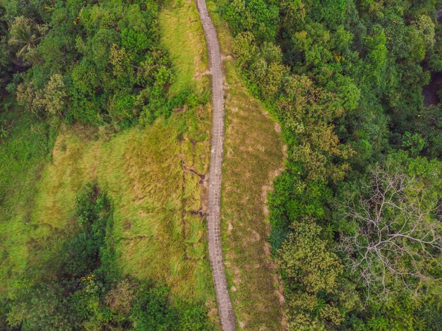 Imagen aérea de Campuhan Ridge Walk, Scenic Green Valley en Ubud Bali. Foto del dron.