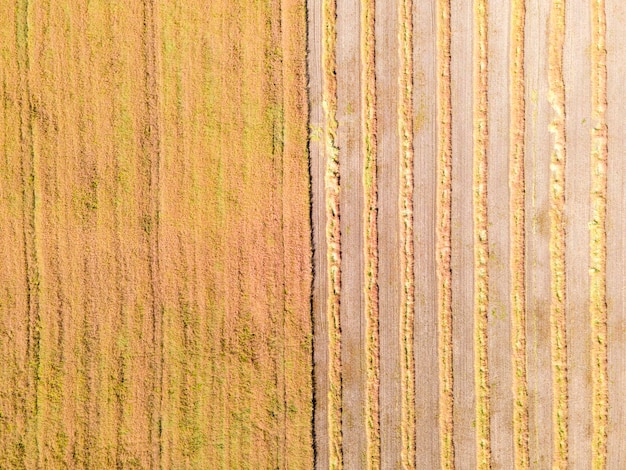 Imagen aérea de drones de campos con un crecimiento diverso de cultivos basado en el principio de policultivo y permacultura método agrícola saludable del ecosistema