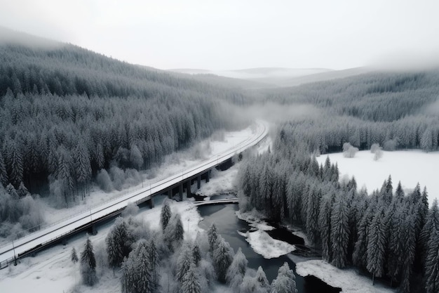 Imagen aérea de un entorno invernal con un puente de nieve y un río, ríos y árboles.