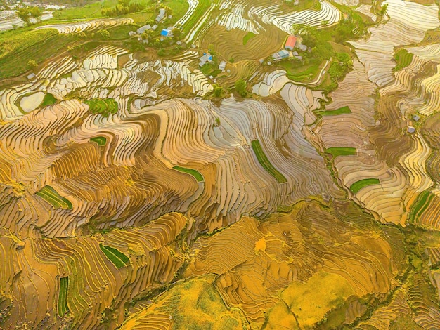 Imagen aérea de terrazas de arroz en la provincia de Ngai Thau Y Ty Lao Cai Vietnam Panorama paisajístico de campos de arroz en terrazas de Vietnam de Ngai Thau Espectaculares campos de arroz Tiro panorámico cosido