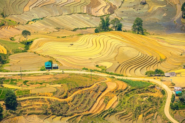 Imagen aérea de terrazas de arroz en el valle de Thien Sinh Y provincia de Ty Lao Cai Vietnam Panorama paisajístico de campos de arroz en terrazas de Vietnam de Thien Sinh Espectaculares campos de arroz Tiro panorámico cosido