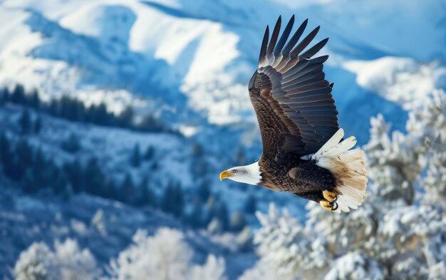 Imagen de un águila con una poderosa envergadura