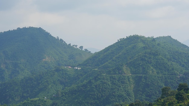 Imagen ahumada de las verdes colinas de uttarakhands