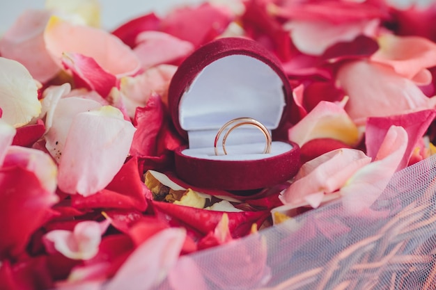 Imagen de anillos de boda en una caja de regalo.